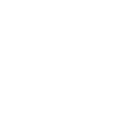 discord icon